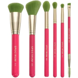 Spectrum Collections Cosmopolitan 6 Piece Makeup Brush Set