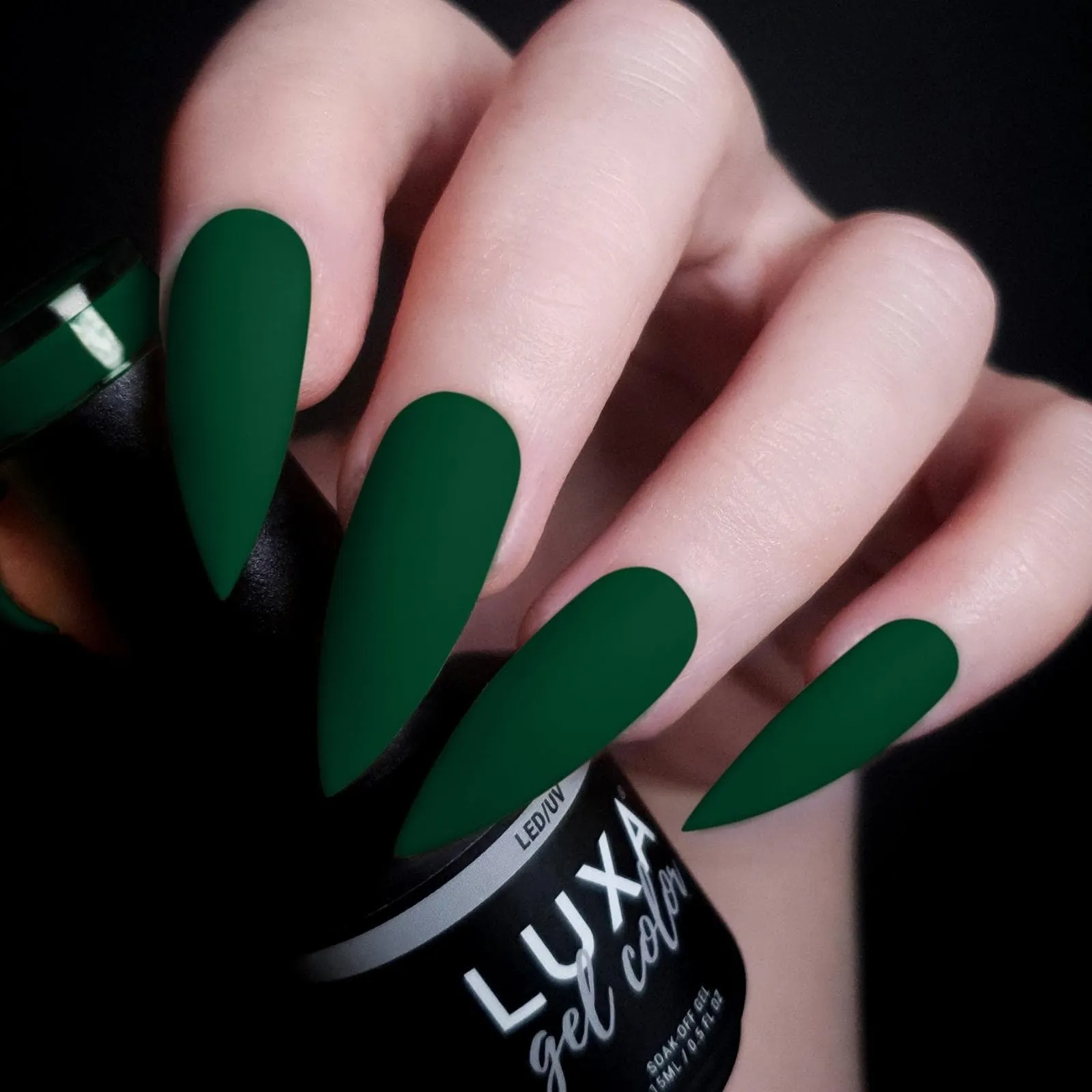 VELVET FORREST