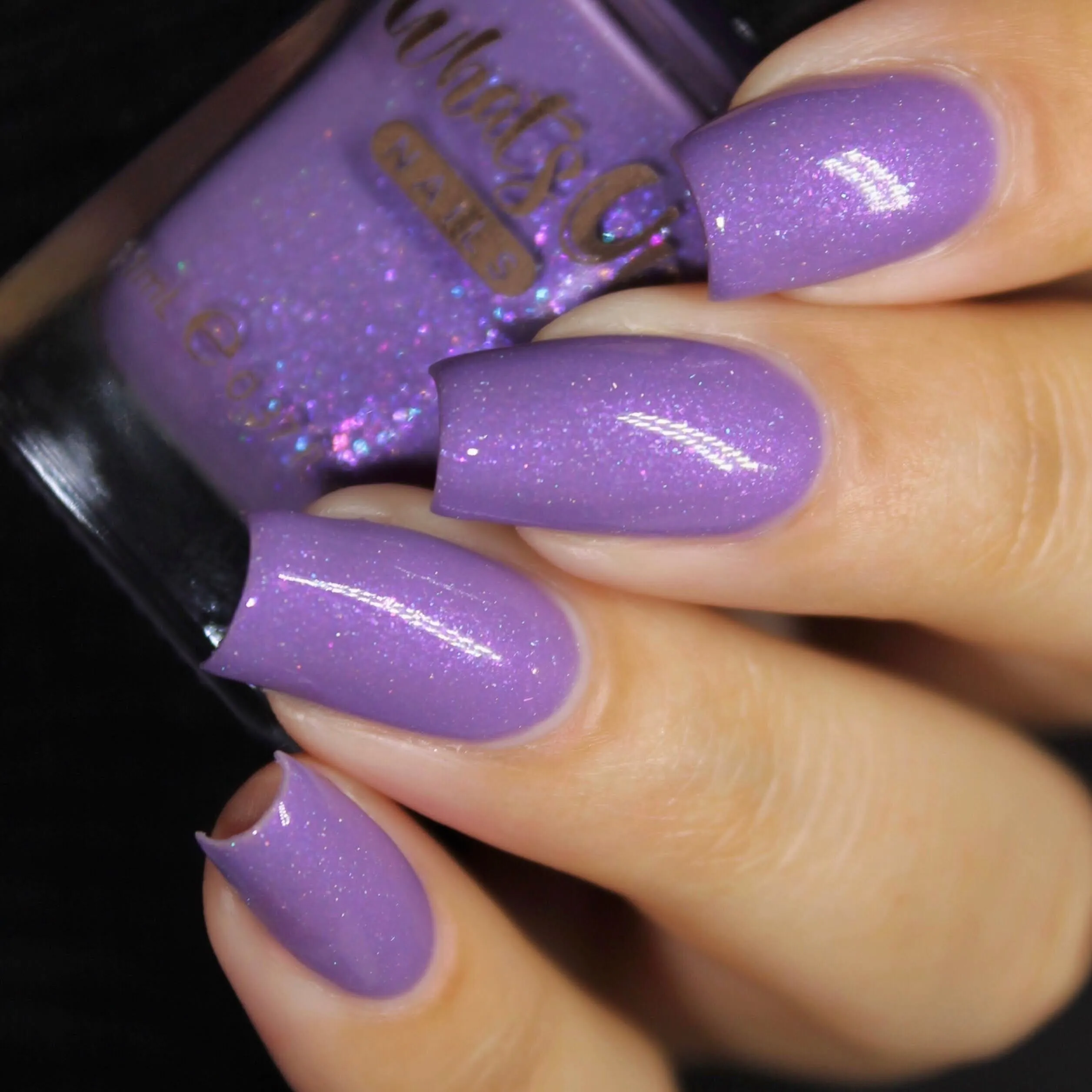 Whats Up Nails - Desert Monsoon Collection (6 Nail Polishes)