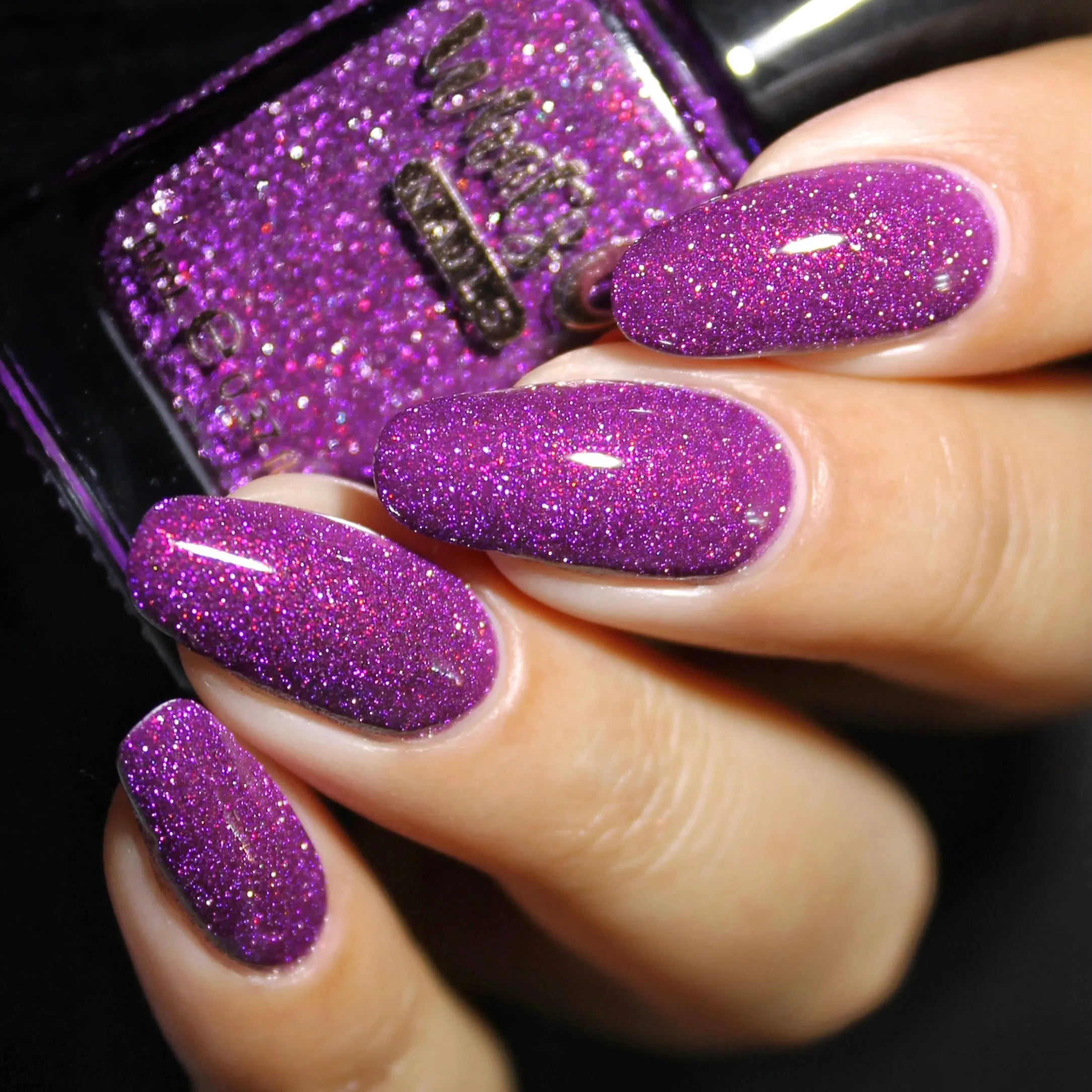 Whats Up Nails - Gust of Wind Collection (6 Nail Polishes)