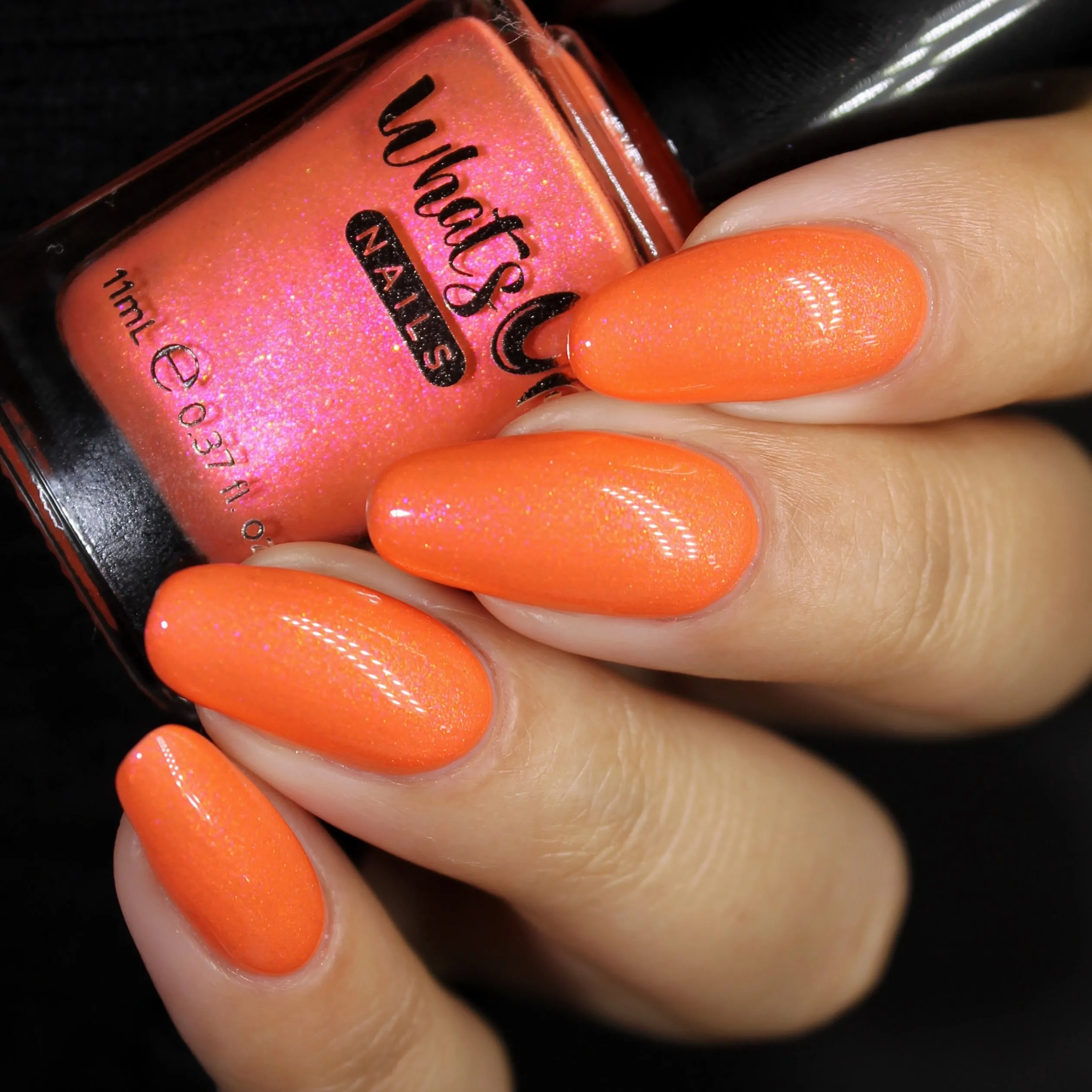 Whats Up Nails - Gust of Wind Collection (6 Nail Polishes)