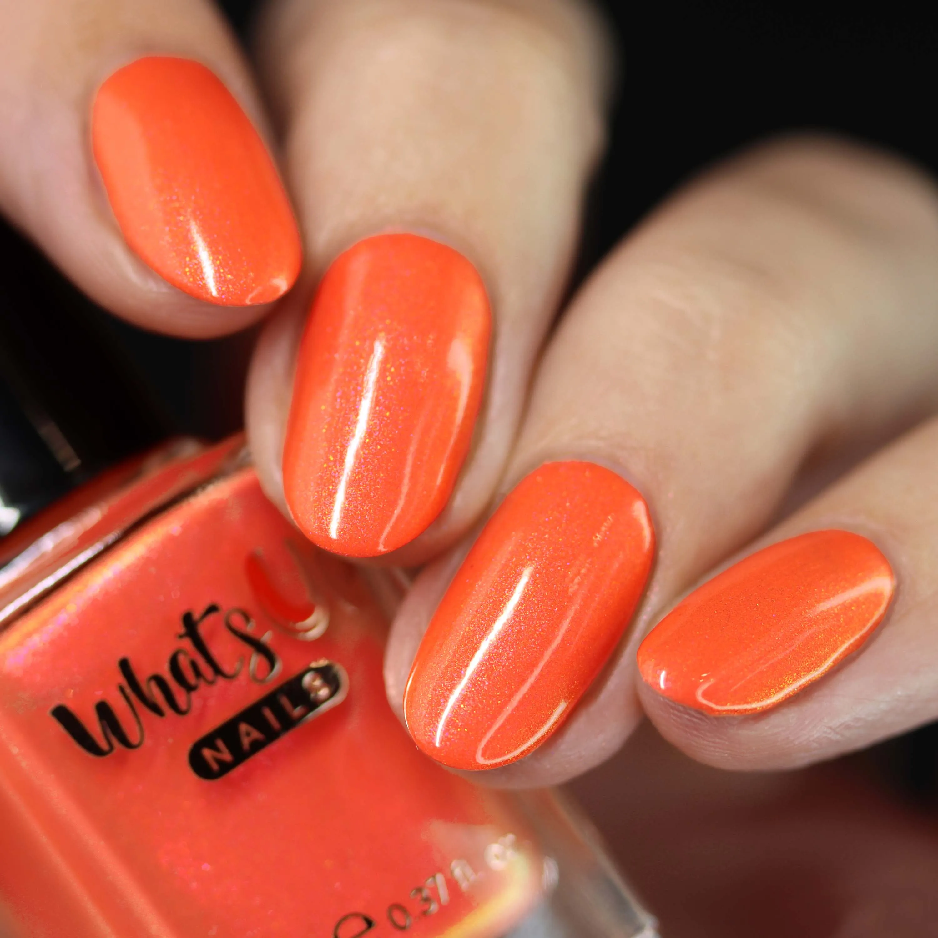 Whats Up Nails - Gust of Wind Collection (6 Nail Polishes)