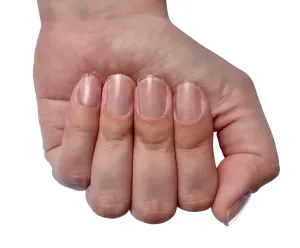 XXS Square- Soft Gel
