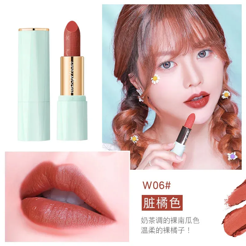 Yeknu Orange Lipstick Velvet Matte Lipsticks Waterproof Long Lasting Lip Stick Velvet Lip Tint Women Cosmetic Sexy Lip Glaze Makeup